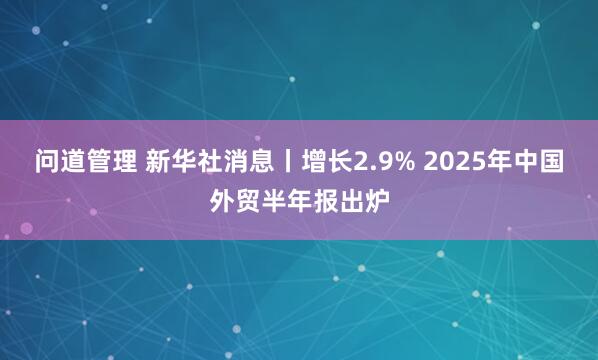 问道管理 新华社消息丨增长2.9% 2025年中国外贸半年报出炉