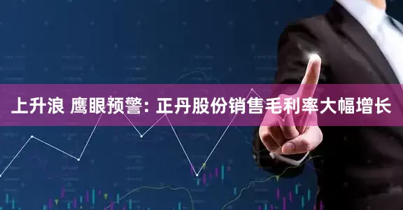 上升浪 鹰眼预警: 正丹股份销售毛利率大幅增长
