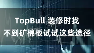 TopBull 装修时找不到矿棉板试试这些途径