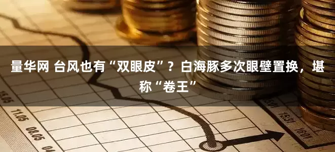 量华网 台风也有“双眼皮”？白海豚多次眼壁置换，堪称“卷王”
